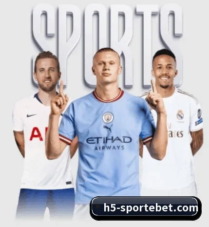 易倍体育 APP - EMCSPORTS